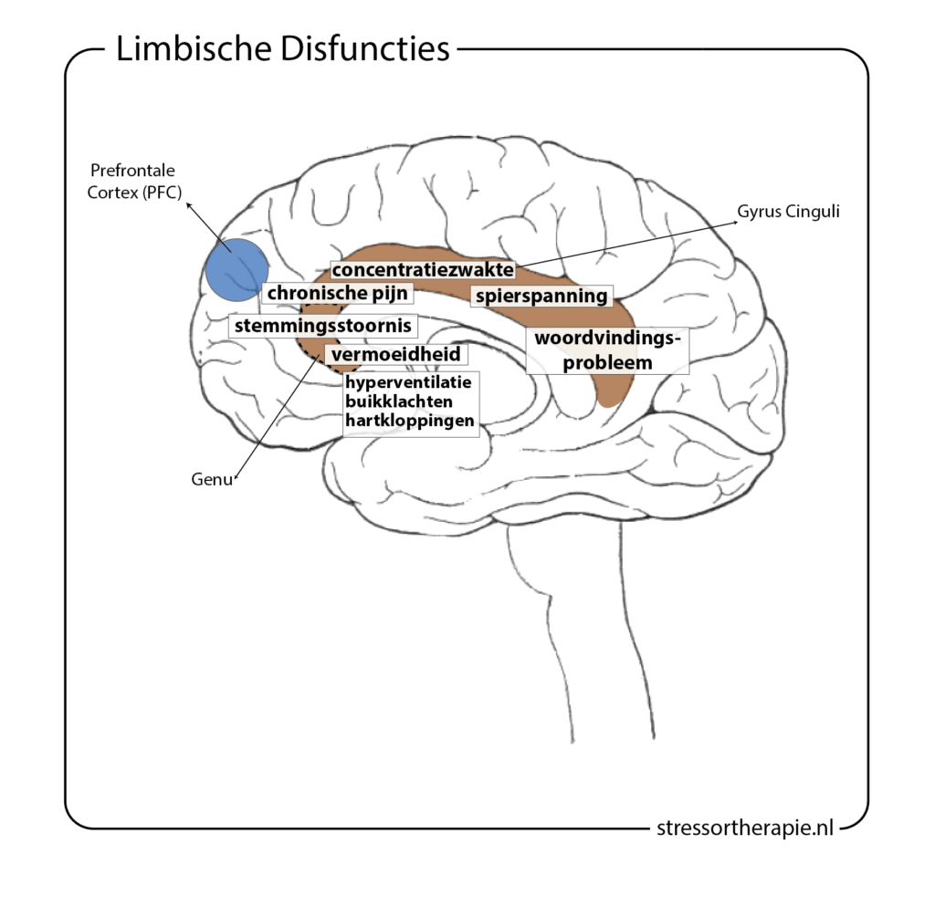 Limbische Disfuncties - Stressortherapie.nl